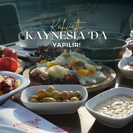 Kaynesia & Welness Turgutlu